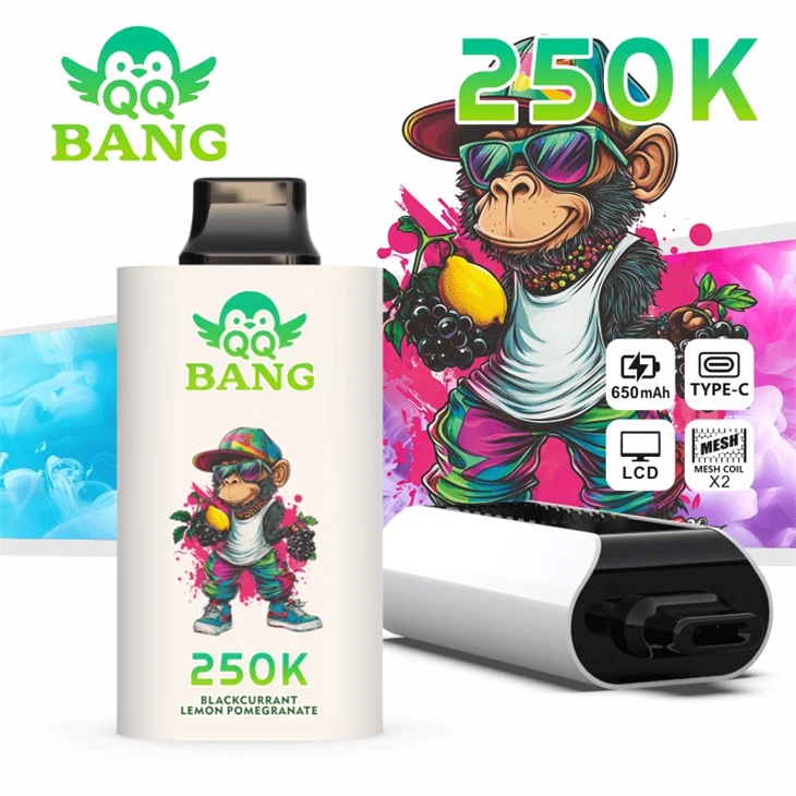 QQBANG250K-DSK095 (3)